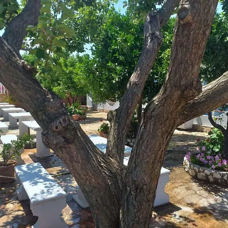 Kosta Baci * Ksamil